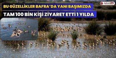 Bu Güzellikler Bafra’da Yanı Başımızda