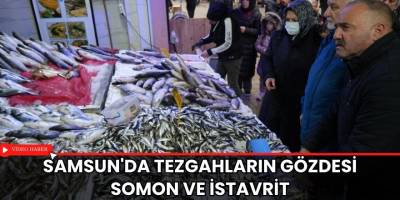 Samsun'da tezgahların gözdesi somon ve istavrit
