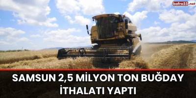 Samsun 2,5 milyon ton buğday ithalatı yaptı