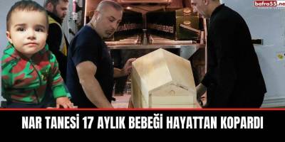Nar Tanesi 17 Aylık Bebeği Hayattan Kopardı