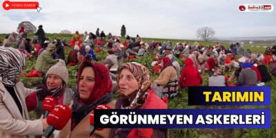 Tarımın Görünmeyen Askerleri