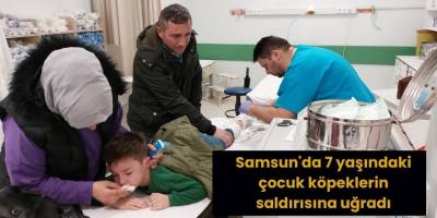 Samsun'da 7 yaşındaki çocuk köpeklerin saldırısına uğradı