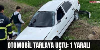 Otomobil tarlaya uçtu: 1 yaralı
