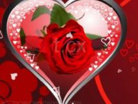 Sevgililer günü özel