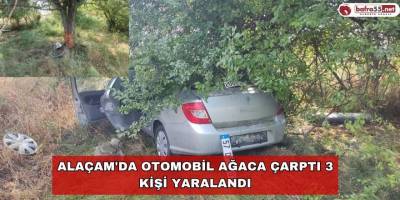 Alaçam'da otomobil ağaca çarptı 3 kişi yaralandı