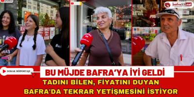 Bafra'nın Unutulan Mersin Balığı Tekrar Canlandırılacak Haberi Heyecan Yarattı