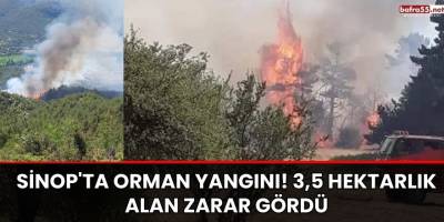Sinop'ta Orman Yangını! 3,5 Hektarlık Alan Zarar Gördü