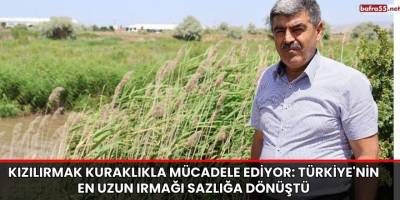 Kızılırmak Kuraklıkla Mücadele Ediyor: Türkiye'nin En Uzun Irmağı Sazlığa Dönüştü