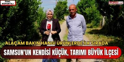 Samsun'un Kendisi Küçük, Tarımı Büyük İlçesi; ALAÇAM