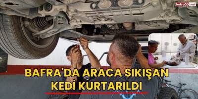 Bafra'da Araca Sıkışan Kedi Kurtarıldı