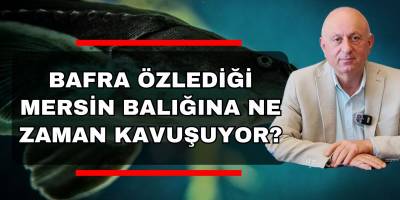 Bafra Ne Zaman Mersin Balığına Kavuşuyor?