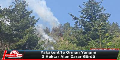 Yakakent'te Orman Yangını: 3 Hektar Alan Zarar Gördü