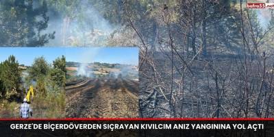 Gerze'de Biçerdöverden Sıçrayan Kıvılcım Anız Yangınına Yol Açtı