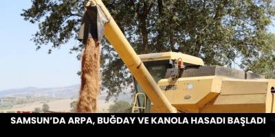 Samsun’da Arpa, Buğday ve Kanola Hasadı Başladı