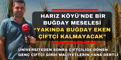 Harız Köyü'nde Bir Buğday Meselesi; “Yakında buğday eken çiftçi kalmayacak”