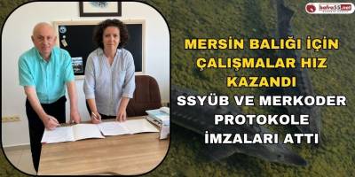 Mersin Balığı İçin Çalışmalar Hız Kazandı; SSYÜB ve MERKODER Protokole İmzaları Attı