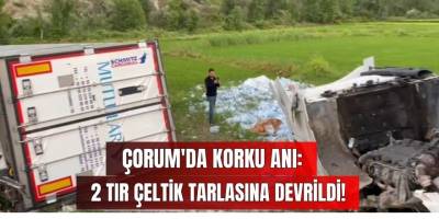 Çorum'da Korku Anı: 2 Tır Çeltik Tarlasına Devrildi!