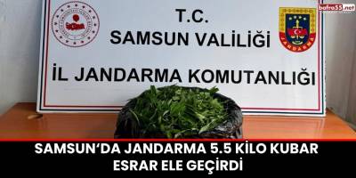 Samsun'da Jandarma 5.5 Kilo Kubar Esrar Ele Geçirdi