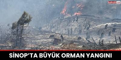 Sinop’ta Büyük Orman Yangını