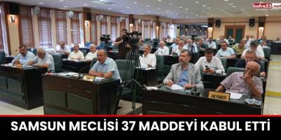 Samsun Meclisi 37 Maddeyi Kabul Etti