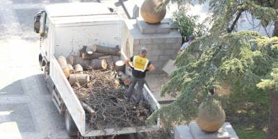 Anıtpark’ta Kuruyan Ağaçlar Kesildi