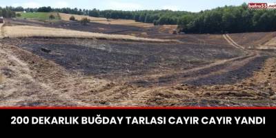 200 Dekarlık Buğday Tarlası Cayır Cayır Yandı