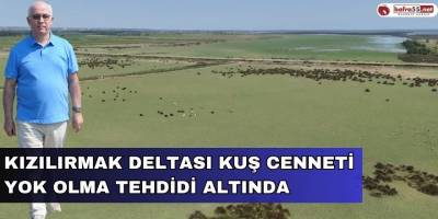 Kızılırmak Deltası Kuş Cenneti Yok Olma Tehdidi Altında
