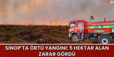 Sinop'ta Örtü Yangını: 5 Hektar Alan Zarar Gördü