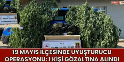 19 Mayıs İlçesinde Uyuşturucu Operasyonu: 1 Kişi Gözaltına Alındı