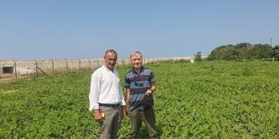 Türkeli İlçesinde Organik Sinop Karpuzu Yetiştiriciliği İçin Büyük Adım