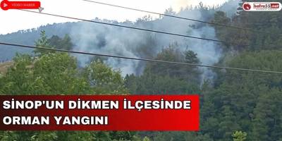 SİNOP'UN DİKMEN İLÇESİNDE ORMAN YANGINI