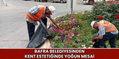 Bafra belediyesinden Kent Estetiğinde Yoğun Mesai