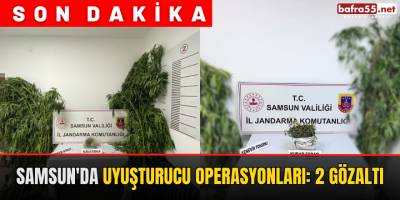 Samsun'da Uyuşturucu Operasyonları: 2 Gözaltı