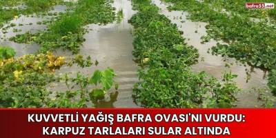Kuvvetli Yağış Bafra Ovası'nı Vurdu: Karpuz Tarlaları Sular Altında