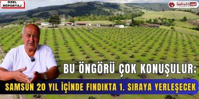 Bu Öngörü Çok Konuşulur; "Samsun 20 Yıl İçinde Fındıkta 1. Sıraya Yerleşecek"