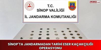 Sinop'ta Jandarmadan Tarihi Eser Kaçakçılığı Operasyonu