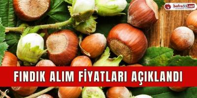 Fındık alım fiyatları açıklandı
