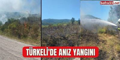 Türkeli'de anız yangını