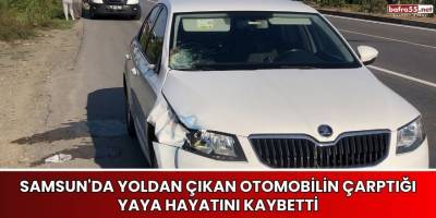 Samsun'da Yoldan Çıkan Otomobilin Çarptığı Yaya Hayatını Kaybetti