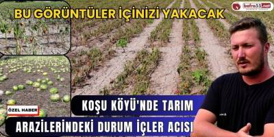 Koşu Köyü'nde Tarım Arazilerindeki Durum İçler Acısı