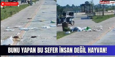 Bunu Yapan Bu Sefer İnsan Değil Hayvan!