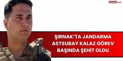 Şırnak’ta Jandarma Astsubay Kalaz Görev Başında Şehit Oldu
