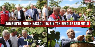 Samsun'da fındık hasadı: 114 bin ton rekolte beklentisi