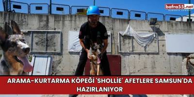Arama-kurtarma köpeği 'Shollie' afetlere Samsun'da hazırlanıyor