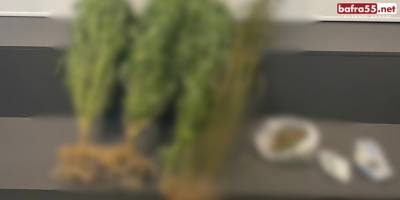 Evinde Kubar Esrar ve Kenevirle Yakalanan Kişi Tutuklandı