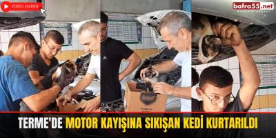 Terme'de Motor Kayışına Sıkışan Kedi Kurtarıldı