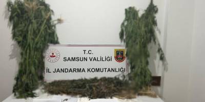 Ayvacık’ta 6,5 Kilo Esrar Ele Geçirildi: 1 Gözaltı