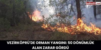 Vezirköprü'de Orman Yangını: 50 Dönümlük Alan Zarar Gördü