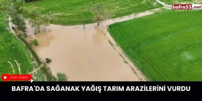 Bafra'da Sağanak Yağış Tarım Arazilerini Vurdu