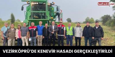 Vezirköprü’de Kenevir Hasadı Gerçekleştirildi